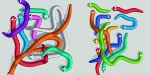 Tangled Snakes